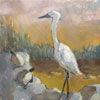 Crane and Turtles